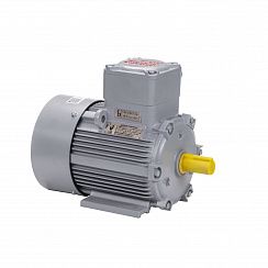 Электродвигатель АИМУ 100 L2 У1, 380В, 1ExdIIBT4 Gb, 5,5/3000 IM1081