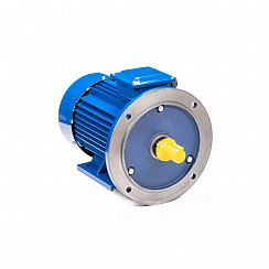 Электродвигатель 5АИ 100 L8 ED 1,5/750 IM2081