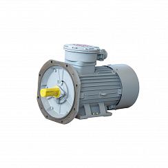 Электродвигатель АИМУР 200 L2 У2,5 660/1140В, класс изоляции Н, PBExdI Mb, МК1-160 (статор), подшипники SKF, 45/3000 IM9701
