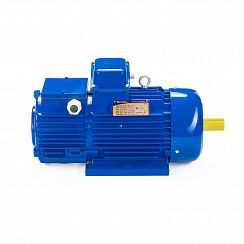 Электродвигатель 5MTH 225 М8 30/723 IM1003